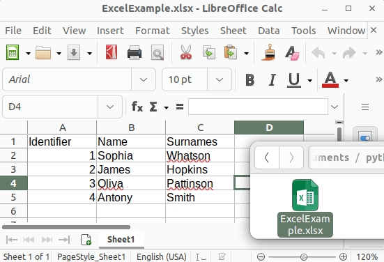 Read an Excel file in Python
